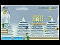 Nintendo New SUPER MARIO BROS Wii | BahVideo.com