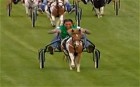 Werder Bremen players race miniature ponies | BahVideo.com
