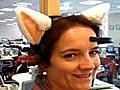Japanese inventors create brainwave-controlled cat ears | BahVideo.com