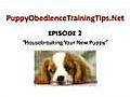 Puppy Obedience Training - Housebreaking Your  | BahVideo.com