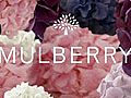 Mulberry SS11 Flower Film | BahVideo.com