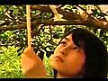 Japanese Asian Horror | BahVideo.com