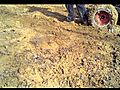 josh hood amp brian puckett adventures and gets stuck in deep mud | BahVideo.com