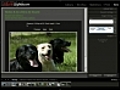 Adobe Lightroom 6 6 la publication en ligne | BahVideo.com