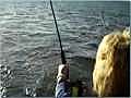 My Virginia Beach Striper Fishing Trip Out of  | BahVideo.com