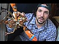 Underground Lobster Pound | BahVideo.com