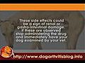  NSAIDs for Dog Arthritis User Guides Part 3 Previcoxx Firocoxib  | BahVideo.com
