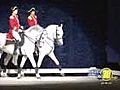 World Famous Lipizzaner Stallions perform in Fresno | BahVideo.com