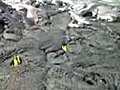 big island lava flow | BahVideo.com