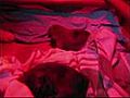 Shiba Inu From Hillock Snowy Kimiko puppy s Part 1 | BahVideo.com