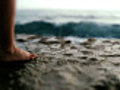 Beach leg wave 720p | BahVideo.com