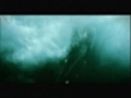 Le chant des baleines | BahVideo.com