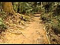 Mike Jutan in Malaysia FRIM Rainforest hike | BahVideo.com