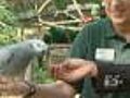 Elmwood Park Zoo Reaches Out For Money | BahVideo.com