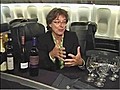 The best job in the world in-flight wine-taster  | BahVideo.com