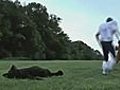 Brian Urlacher vs bears who wins  | BahVideo.com