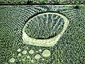 Crop circle mystery | BahVideo.com