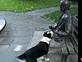 Playful dog gets rejected by statue | BahVideo.com