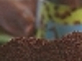 Java jolt coffee hits 13-year high | BahVideo.com