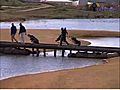 Golftours: Portugal Süd I | BahVideo.com
