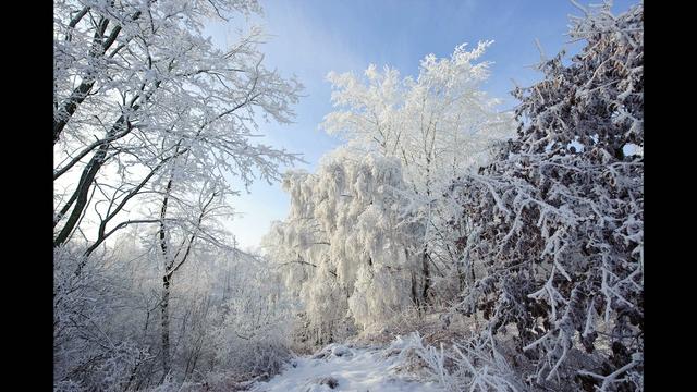 Winter is beautiful | BahVideo.com