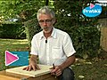 Comment faire une coupe arrondie avec une scie  | BahVideo.com