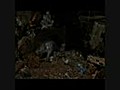 Graveyard Shift - Full Movie 5 8 | BahVideo.com