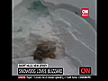 Dog buries self in pile of snow | BahVideo.com