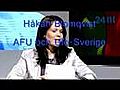 Fragment fr n den svenska UFO debatten | BahVideo.com