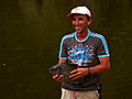 Monster Fish - Jungle Catfish | BahVideo.com