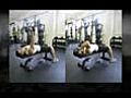 Mens Workouts | BahVideo.com