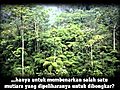 The Story of MonaVie Malay Sub | BahVideo.com