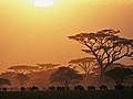  Serengeti zeigt unber hrte Wildnis | BahVideo.com