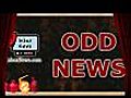 Odd News - A whale of a fight kissing capital  | BahVideo.com