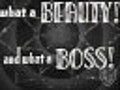 Beauty and the Boss - Available Now on DVD | BahVideo.com