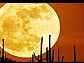 Type - Desert Moon | BahVideo.com