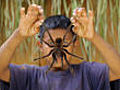 Snacking on giant spiders | BahVideo.com