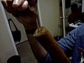 Human Hair found inside of a Palma Dutch  | BahVideo.com
