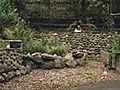 Grubbin amp 039 In The Garden The Edible Landscape | BahVideo.com