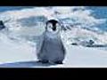  Pinguino happy feet | BahVideo.com