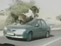Runaway Horse Tramples Moving Car | BahVideo.com
