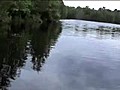 Pickerel Fishing | BahVideo.com