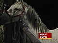 Abandoned And Abused Horse Rescued | BahVideo.com