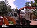 Bellecour plainte contre les coupes d arbres  | BahVideo.com