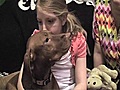 Westminster Dog Show concludes Tuesday | BahVideo.com