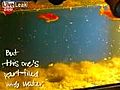 Goldfish Living In A Deep Fat Fryer | BahVideo.com
