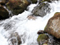 Flowing water around rocks | BahVideo.com