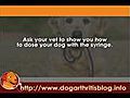  NSAIDs for Dog Arthritis User Guides Part 2 - Metacam  | BahVideo.com