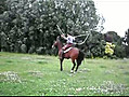 Un cheval saute la corde | BahVideo.com