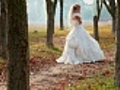 Bride in autumn park | BahVideo.com